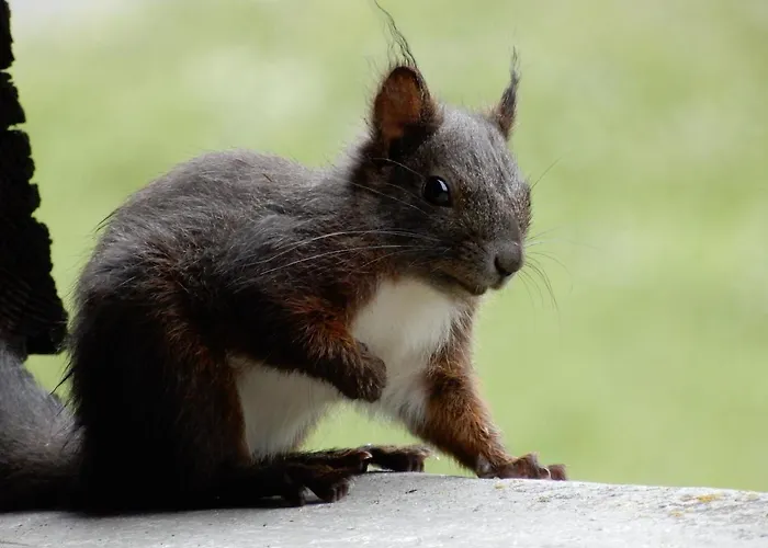 Mezzaprada Отель 2*